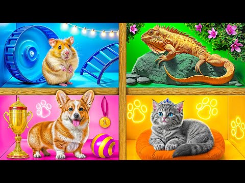 Видео: Строим Домики для Животных | Смешные Cитуации c Multi DO Smile