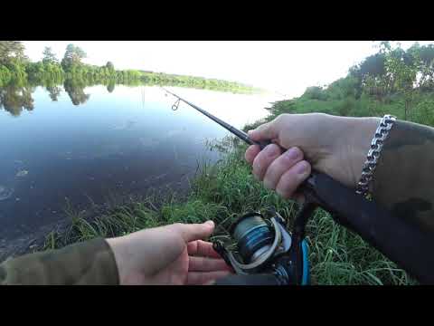 Видео: РЫБАЛКА НА СПИННИНГ В ИЮНЕ С БЕРЕГА!