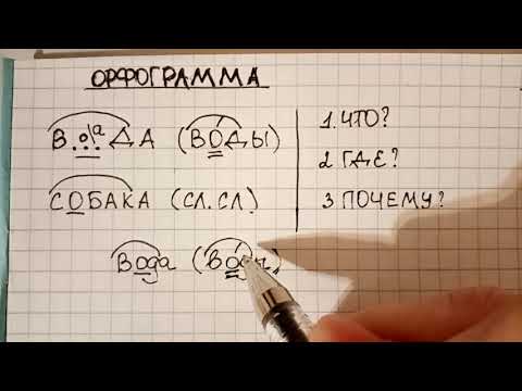 Видео: Орфограмма - что это такое, как правильно ее объяснять и проверять