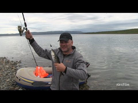 Видео: Полуостров Рыбачий, стоянка на  Большой Эйне.