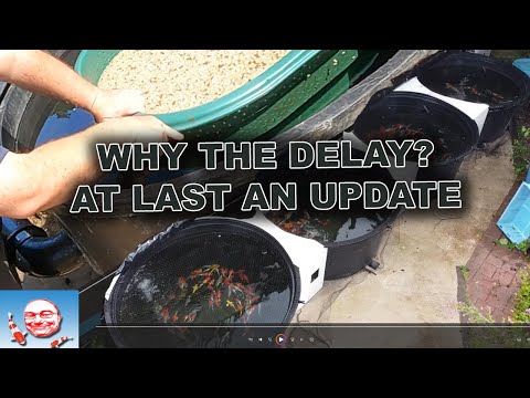 Видео: Новое обновление танков.