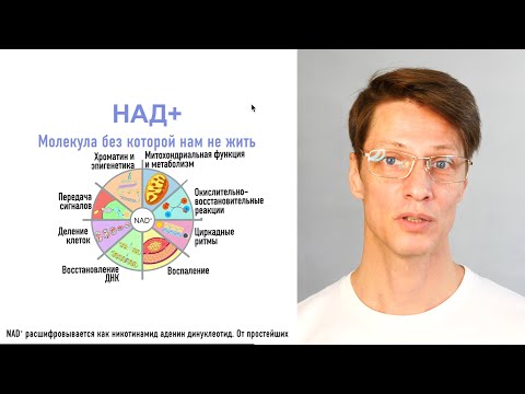 Видео: Молекула жизни НАД+. Последствия от снижения ее уровня. Как повысить уровень NAD+