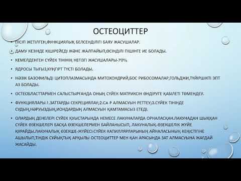Видео: Сүйек тіні І Гистология