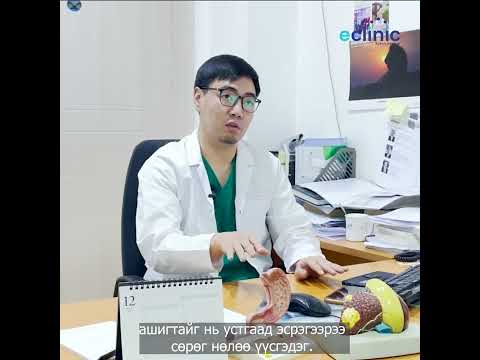 Видео: Таныг эрүүл байлгахад ашигтай бактери хэрэгтэй юу?