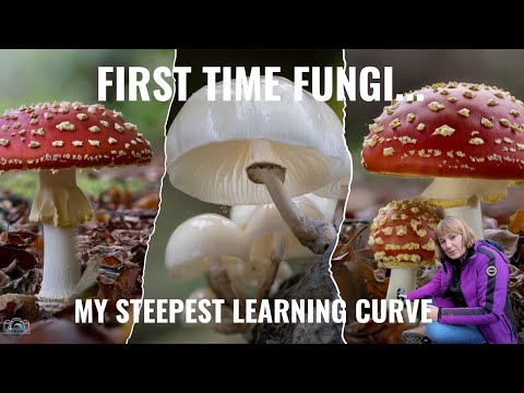 Видео: Осень приносит маленькие сокровища 🍄 - после многих лет прокрастинации я НАКОНЕЦ-ТО сфотографиров...