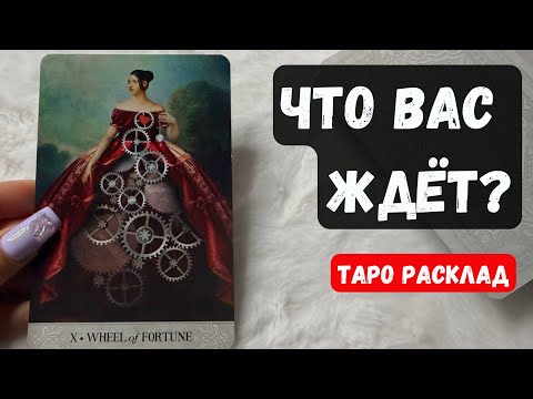 Видео: 🔮 ЧТО ВАС ЖДЁТ ❓Гадание на картах ✨ Знаки судьбы #гадание #гаданиеонлайн #гаданиенабудущее