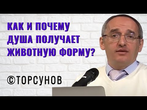 Видео: Как и почему Душа получает животную форму? Торсунов лекции