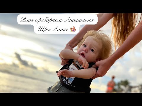 Видео: Влог с реборном Лиамом на Шри Ланке 🪸 Vlog with reborn Liam in Sri Lanka 🇱🇰 #реборн #реборнлиам
