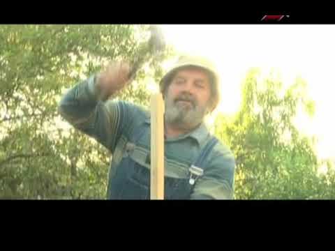 Видео: ВЫРАЩИВАЕМ ОГУРЦЫ НА СЕТКЕ В ОТКРЫТОМ ГРУНТЕ