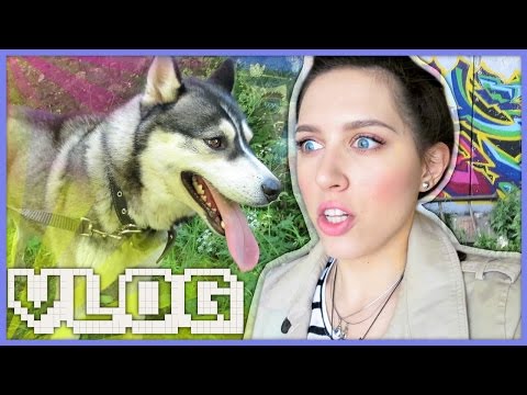 Видео: САМЫЙ МИЛЫЙ ВЛОГ!!! / ХАСКИ, ПЕНИ БОРД, ЛАСТИК