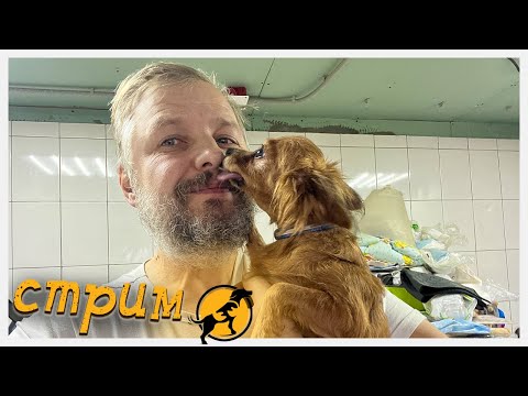 Видео: Вечерний стрим, отвечаем на ваши вопросы, делимся новостями, открываем посылки. 12.01.2024