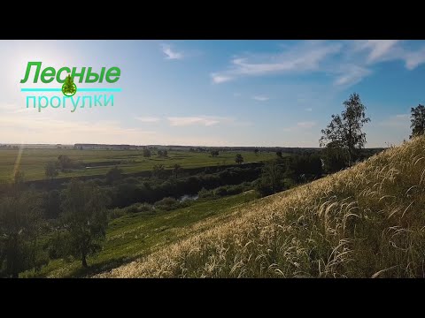 Видео: Землянка и родник, одиночный поход