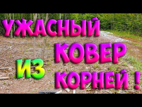 Видео: Избавиться от пней и удалить корни на заросшем дачном участке!