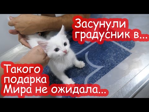 Видео: VLOG День Рождения Миры. 2 месяца