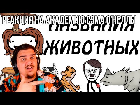 Видео: FORDMAC смотрит Академия Сэма О'Неллы: Откуда берутся научные названия животных