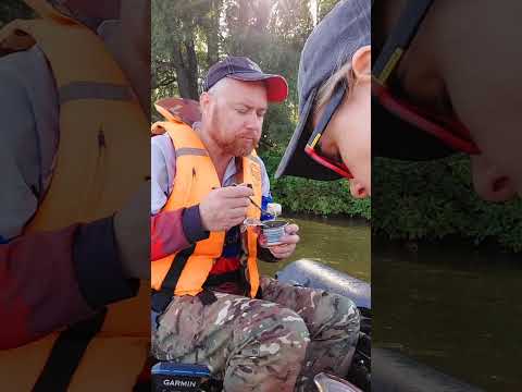 Видео: Перекус консервированным горохом с копченостями. #мукбанг #перекус #горохскопченостями 