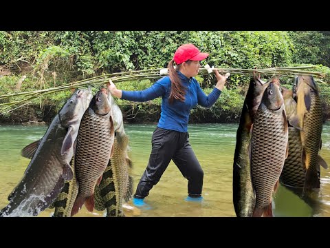 Видео: Традиционные навыки рыбалки: сельская девушка поймала много рыбы в ручье | ‎@daianfarm