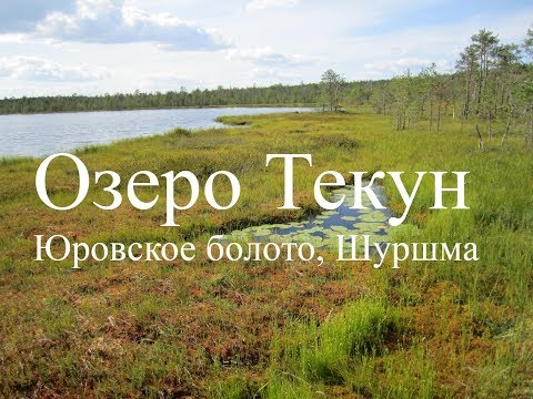 Видео: Озеро Текун. Юрово-Болото. Река Шуршма.