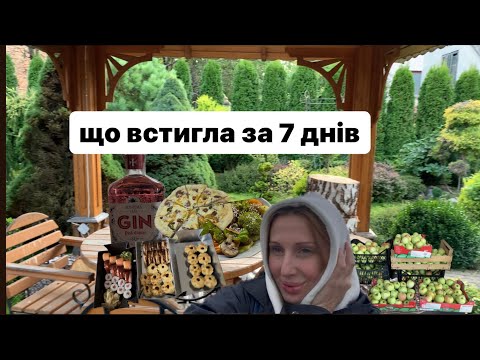 Видео: Як проходить мІЙ ТИЖДЕНЬ 💃що встигла до холодів😬 що купую