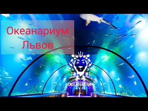 Видео: Океанаріум Львів 2022