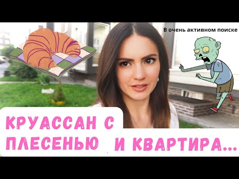 Видео: Аренда квартиры и тухлый круассан: Добро пожаловать в Калининград!