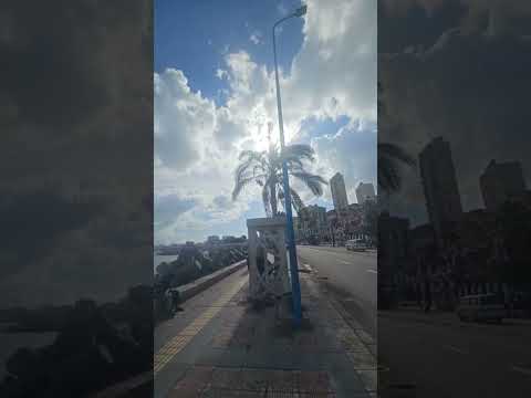 Видео: Просто Живу в прямом эфире!