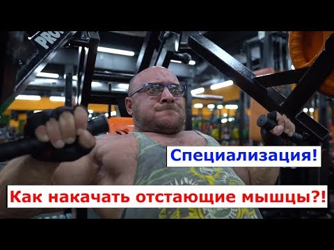 Видео: Специализация. Как накачать отстающие мышцы!