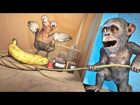 Видео: ОБЕЗЬЯНА ТРОЛЛЬ vs ХИТРЫЙ ПЕТУХ В CS:GO!!!