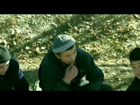 Видео: Мекендин жүгү биздин мойнубузда.