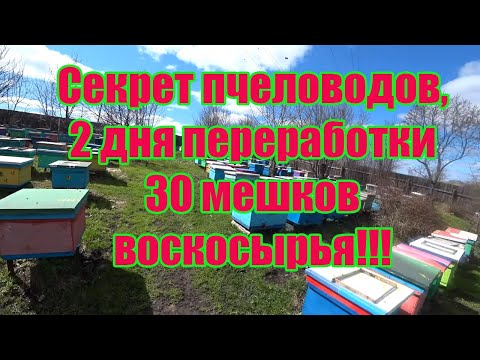 Видео: 2 Часть  ОДИН ДЕНЬ ИЗ ЖИЗНИ ПЧЕЛОВОДОВ, ТОПИМ ВОСК ОЧЕНЬ БЫСТРО, ВОСКОПРЕСС.
