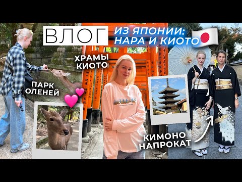 Видео: ЯПОНИЯ ВЛОГ: НАРА и КИОТО 🇯🇵 Парк оленей, прогулка по храмам Киото, аренда кимоно и бамбуковый лес