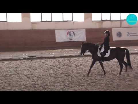 Видео: Миллер Алиса и Бастион. Командный Приз. 61,036%. Алматы. 19-10-25