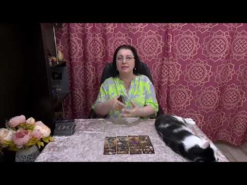 Видео: ОТ ЗЛОСТИ ОНА РВЕТ НА СЕБЕ ВОЛОСЫ! ЧЕГО НЕ ОЖИДАЛА ВАША СОПЕРНИЦА?