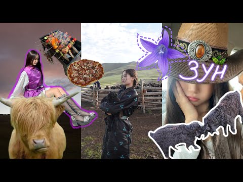 Видео: •Хөдөөний хөгжилтэй өдрүүд! 🤣🤣(Үхэр саах чинь эвгүйн байна😌)