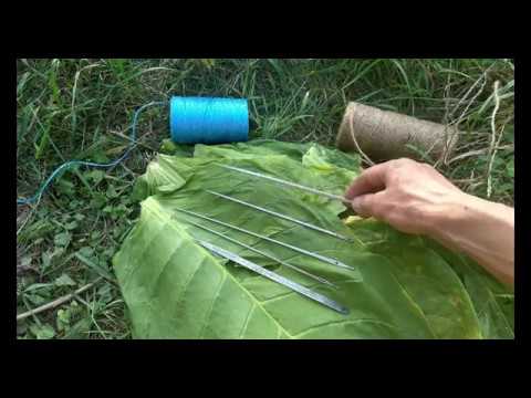 Видео: Подбираем оптимальный вариант иглы для нанизывания табачного листа