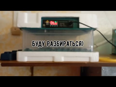 Видео: Распаковка долгожданной посылки из Китая. Роликовый инкубатор.