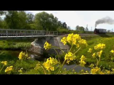 Видео: Узкоколейный паровоз