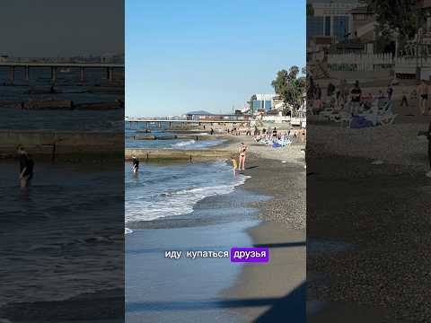 Видео: 2 ноября в Сочи 🏝️