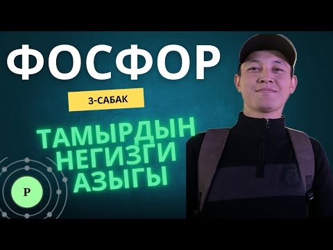 Видео: Фосфор-тамырдын негизги азыгы!