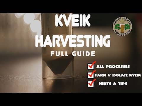 Видео: Полное руководство по сбору дрожжей Kveik