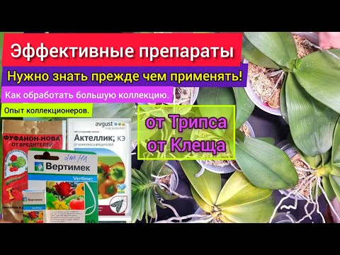 Видео: Самые эффективные препараты против ТРИПСА и Клеща. ВНИМАНИЕ! Пока не посмотришь видео не применять!
