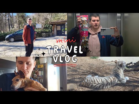 Видео: КАКВО СЕ СЛУЧИ ТОЗИ УИКЕНД | WEEKEND VLOG