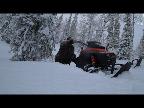 Видео: Первый выезд в этом сезоне.Еду на избу.