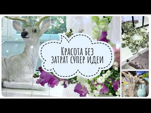 Видео: 💜СУПЕР ИДЕИ для дома 💚 ФИКС ПРАЙС новинки КРАСОТА БЕЗ ЗАТРАТ 💚 экспресс декор за 5 минут! ВЛОГ видео