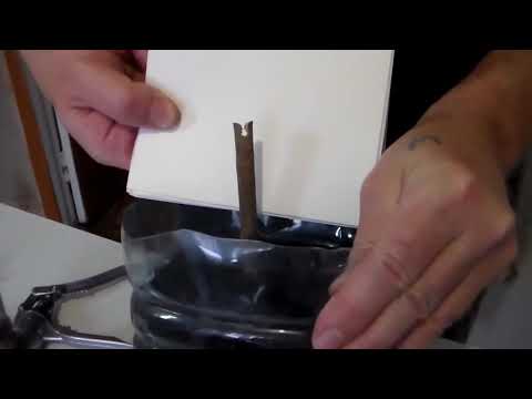 Видео: Прививка винограда на столе Стратификация