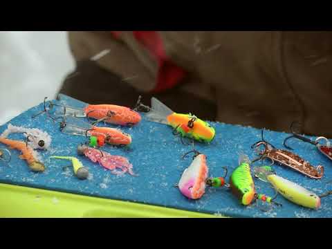 Видео: Ловля форели \ Азбука подледной ловли.