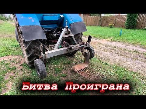 Видео: Копка картошки 2025/ Сезон не удался