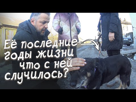 Видео: Ей осталось жить всего год-полтора, ПОЧЕМУ?! И что мы сможем для неё сделать?