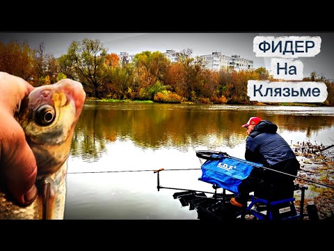Видео: Фидер на Клязьме поздней осенью ! Поймал неожиданного трофея #рыбалка 