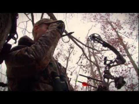 Видео: Охота с луком на лося в Северном Онтарио. Охота в Новом Свете. Выпуск 97.